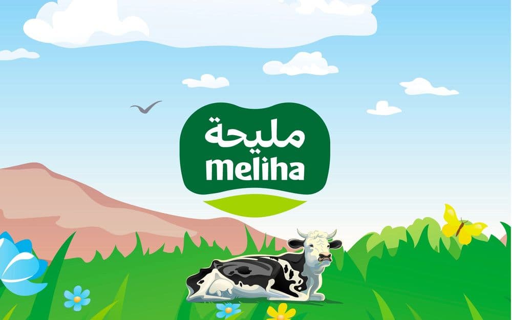 Meliha Dairy