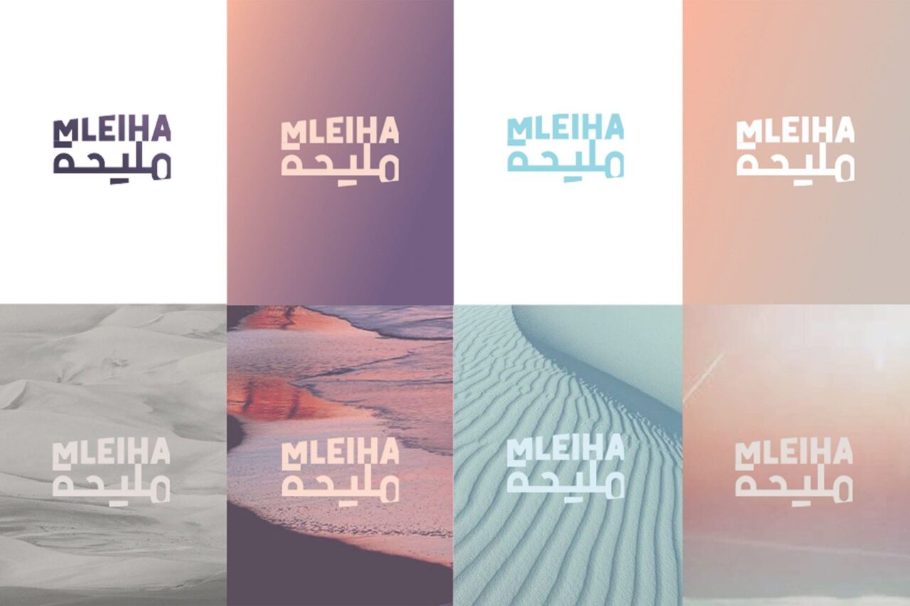 Skyne-news-mleiha-min
