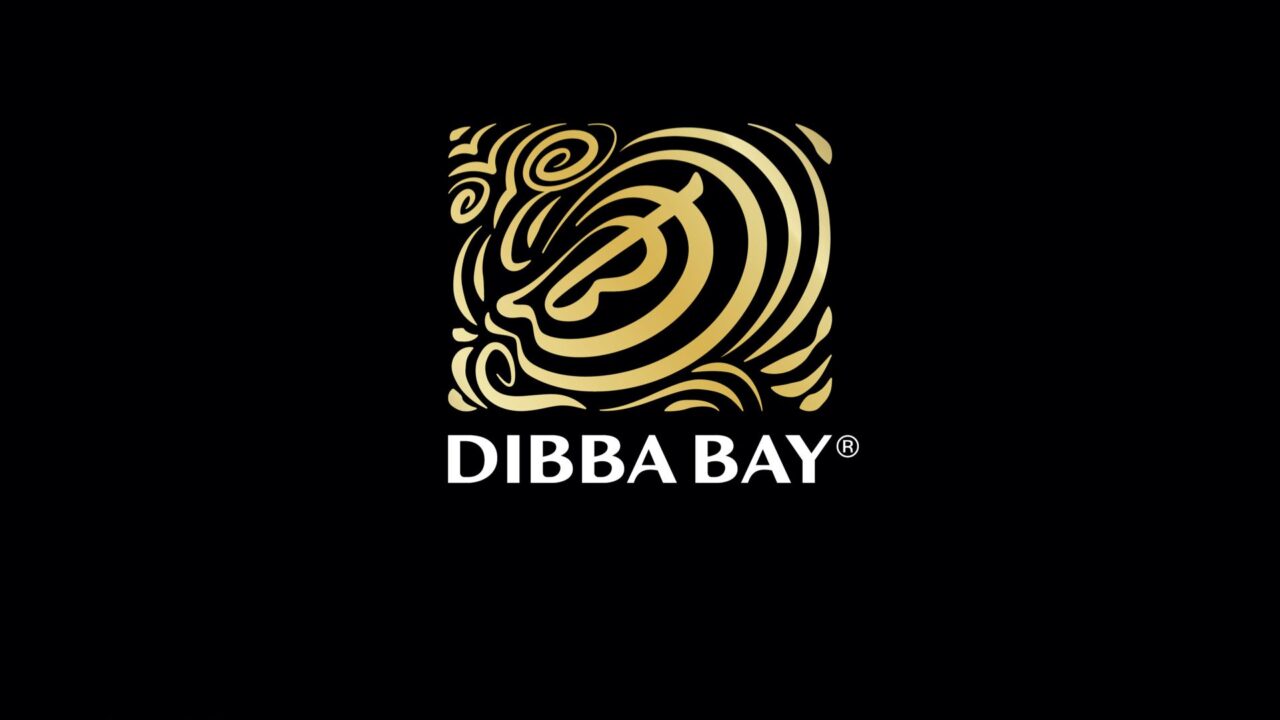 Dibba Bay Market Research | Skyne